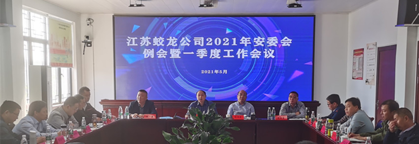 公司召開(kāi)2021年安委會(huì)例會(huì)暨一季度工作會(huì)議