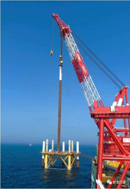 巾幗展風(fēng)采 鏗鏘綻芳華